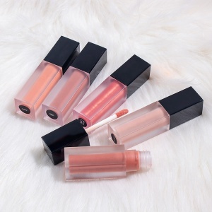 Custom Frosted Tube Liquid Lipstick Private Label Lip Gloss Clear Lip Gloss Tubes With Wands