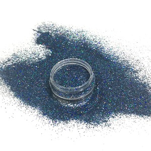 Factory Direct Sales New Arrival Design Popular Color Blue Black Holographic Fine Body Nail Face Glitter