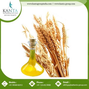 Factory Price Wheat Germ Carrier Oil
