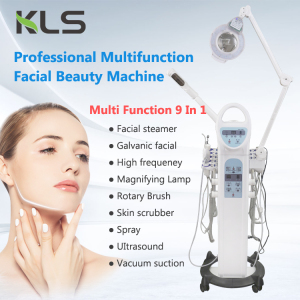 Hot Sell 9 In 1 Multifunction Facial Beauty Machine Multifunction Facial Steamer Multifunction Facial Beauty Machine Equipment