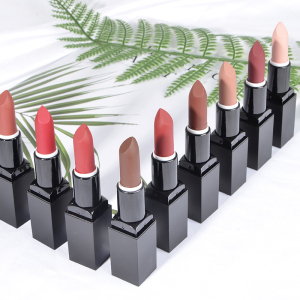 Waterproof Nude Matte Lip Lipstick Cosmetics Lipstick No Logo