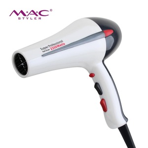 Wholesale Blow Dryer With Brushless Motor Professional Household And Salon AC Motor Hair Dryer