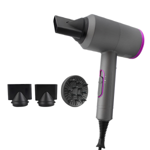 Wholesale Professional Household And Salon Hair Dryer