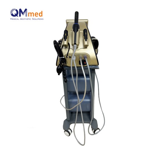 3 in 1 Hifu 22D Max Ultra 2026 Newest Professional Face Neck Lifting Wrinkle Removal Body Slimming Hifu Machine Liposonix Hifu Fat Removal Machine