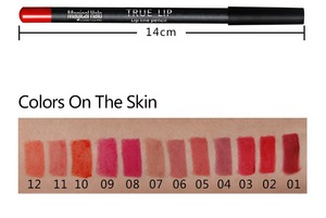 12color one gift box High quality smoothly lip liner matte Multi-colored plastic material lip pencil lip liner