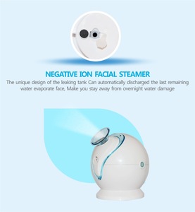 2017 New Rechargeable Facial Mist Spray Nano Ion Spray Electronic Mist Sprayer Face /Hair/Hand care Device Facial