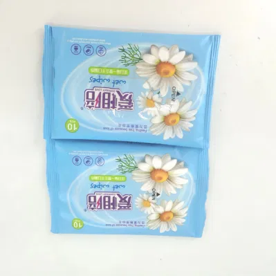 Baby Water Wipes Wet Cleaning Wipes 10 PCS Pocket Packing