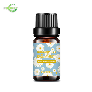 Gmp Factory New Arrival Frankincense Essential Oil Rosemary Natural Essential Oils 6*10Ml