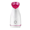 Hot sale household  steam Nano Spray Fruits vegetables Face steamer Beauty moisturizing instrument