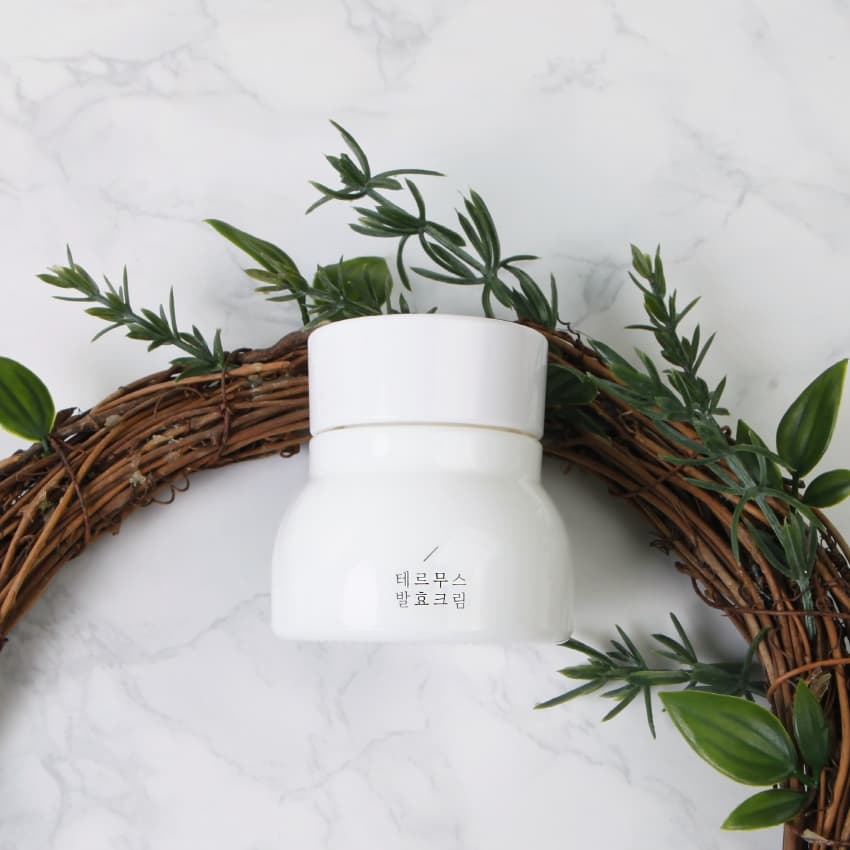 Puregen Thermus Fermented All day Vitalizing Cream