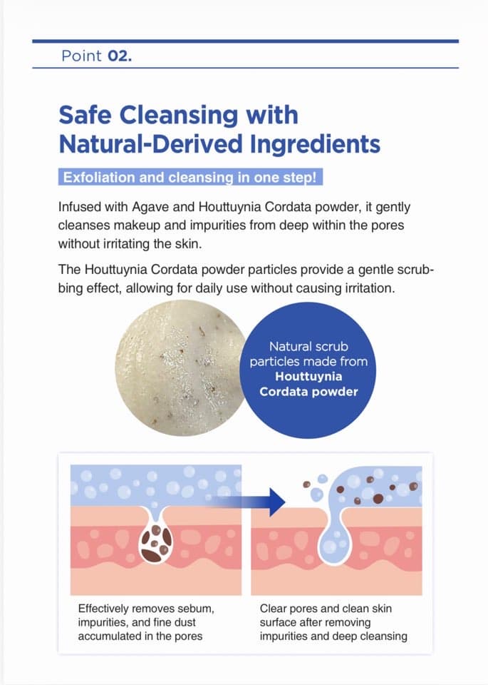 Repida Clearnest Intensive Foam Cleanser