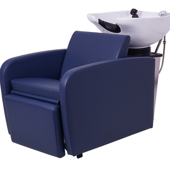 290S Electric backwash unit