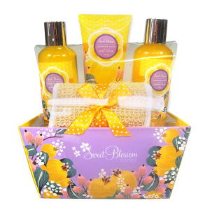 Assorted Fragrance Promotional Organic Bubble Bath Gift Set Bath Set Natural Perfume Body Bath and Works