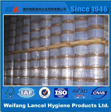 China Materials for Making Tissue Paper Roll Jumbo Roll Toilet/Facial Paper Tissue