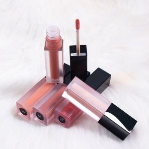 Custom Frosted Tube Liquid Lipstick Private Label Lip Gloss Clear Lip Gloss Tubes With Wands