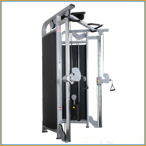 High Quality Professional Commercial Gym Equipment Plate load Life Fitness Equipment Dual adjustable pulley