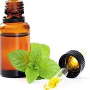 Manufacturer of 100% Pure and Fresh Mentha Piperita Essential Oil