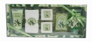 Personal care spa bath gift set with private label