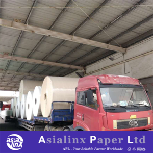 Virgin Wood Pulp Tissue Reels Raw Material for Making Tissue Papers