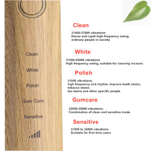 Wholesale Oral Care Intelligent Bamboo Electrical Toothbrush with three brush heads free