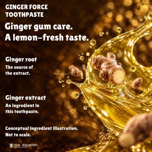 Das Experten GINGER FORCE Ginger Toothpaste, 70 ml