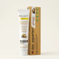 Das Experten GINGER FORCE Ginger Toothpaste, 70 ml
