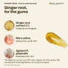 Das Experten GINGER FORCE Ginger Toothpaste, 70 ml