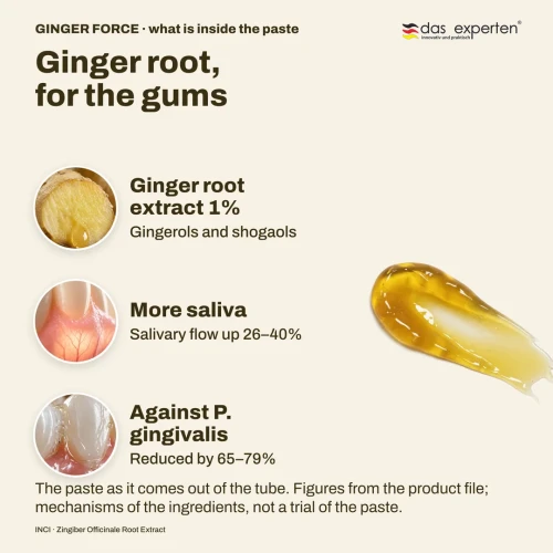 Das Experten GINGER FORCE Ginger Toothpaste, 70 ml