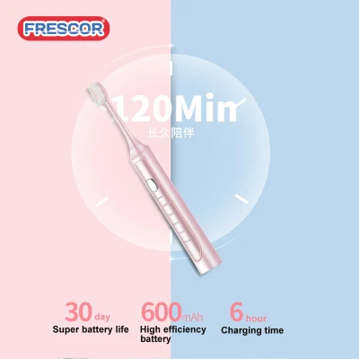 2019 New Arrival Adult Waterproof Ipx7 Rechargeable Sonic Electric Toothbrush