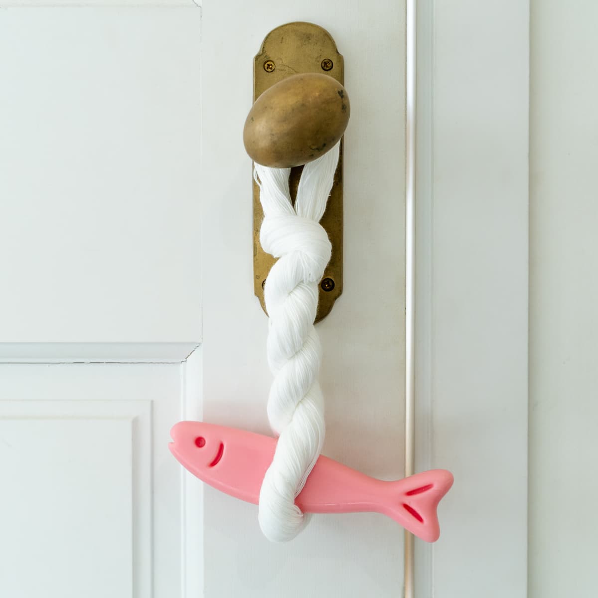 huesi Luck Fish Wax Tablet