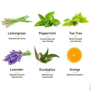 Natural Essential Oils ,100% Pure Aromatherapy Diffuser Oils with Lavender, Tea Tree, Eucalyptus, Lemon