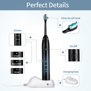 Oral hygiene personalized electric toothbrush USB charging Rechargeable OEM Adult Smart IPX7 sonic Automatic Dental toothbrush