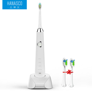 Private label service China shenzhen manufacturer sonic toothbrush H3