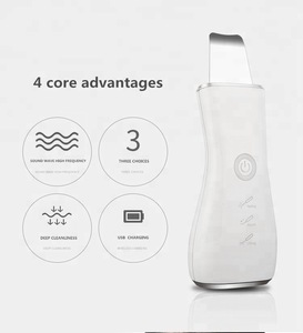 Wholesale Hand Hold Ultrasonic Face Cleaner  Microcurrent Ultrasonic Skin Scrubber Rechargeable beauty care tools and equipment