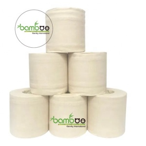 Wholesale High Quality Custom Eco-Friendly Embossed 2ply Toilet Paper
