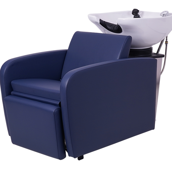 290S Electric backwash unit