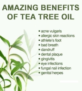 Australian Tea Tree Essential Oil Pure Natural