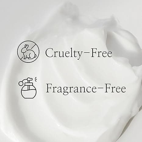 Beauty of Joseon Dynasty Cream Hydrating Face Moisturizer 50ml