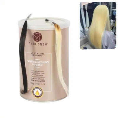 Factory Wholesale Permanent Hair Bleaching Powder