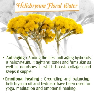 HELICHRYSUM HYDROSOL. 100% PURE AND NATURAL