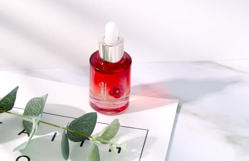 JEJUINDI  Camellia Original Seed oil
