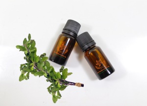 Premium Extract Liquid  Natural Holy Basil Essential Oil Inexpensive With Modern Factory Made In Vietnam