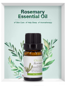 Rosemary Essential Oil 10ml HOT SELLING LOW MOQ