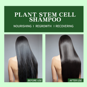 Stocked Private Label OEM OBM Hair Growth Apple Stem Cell Hydrate Organic Hair Shampoo