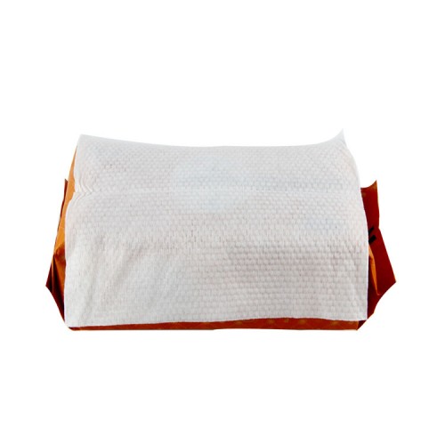 Wet And Dry Use Disposable Wipes Tissue Oem Custom Face Wipe Cloth For Baby Facial Cleaning 100PCS