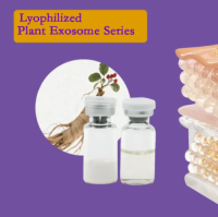 Lyophilized Panax Ginseng Root Exosomes