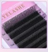3DW 5DW 6DW 8DW Lash Easy Fan Eyelash Extension Wholesale Professional Dark Matte Black W Lash Natural Soft Cashmere 3DW Lash