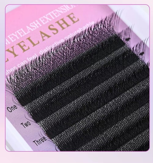 3DW 5DW 6DW 8DW Lash Easy Fan Eyelash Extension Wholesale Professional Dark Matte Black W Lash Natural Soft Cashmere 3DW Lash