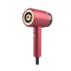 2020 Newest Modern design DC Motor Compact Hair Dryer with Private Label Hair Blower