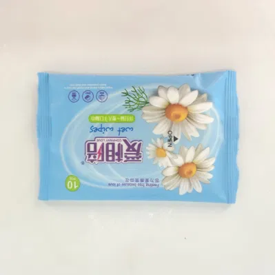 Baby Water Wipes Wet Cleaning Wipes 10 PCS Pocket Packing